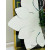 Gương phòng tắm Jelly NAV 2024-NT