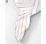 Gương nội thất Hummingbird NAV 2099-NT