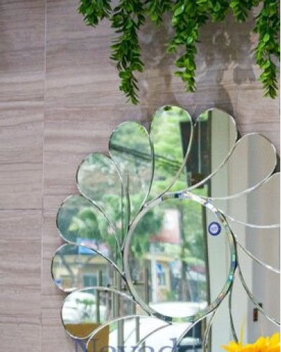 Gương nội thất Feather NAV 2093-NT