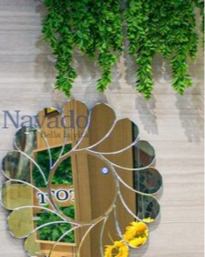 Gương nội thất Feather NAV 2093-NT