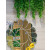 Gương nội thất Feather NAV 2093-NT