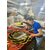 Gương phòng tắm khung inox hoa đào Peach NAV 3018-IN